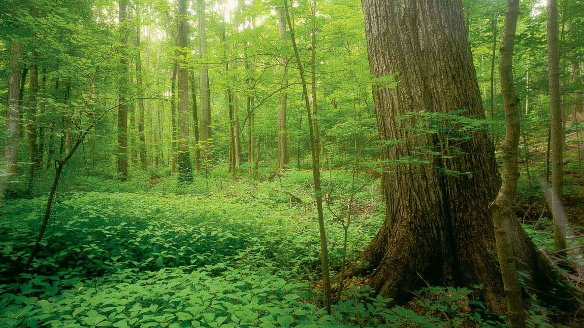 Grove School Of Engineering Alchetron The Free Social Encyclopedia Grove School Of Engineering Alchetron The Free Social Encyclopedia