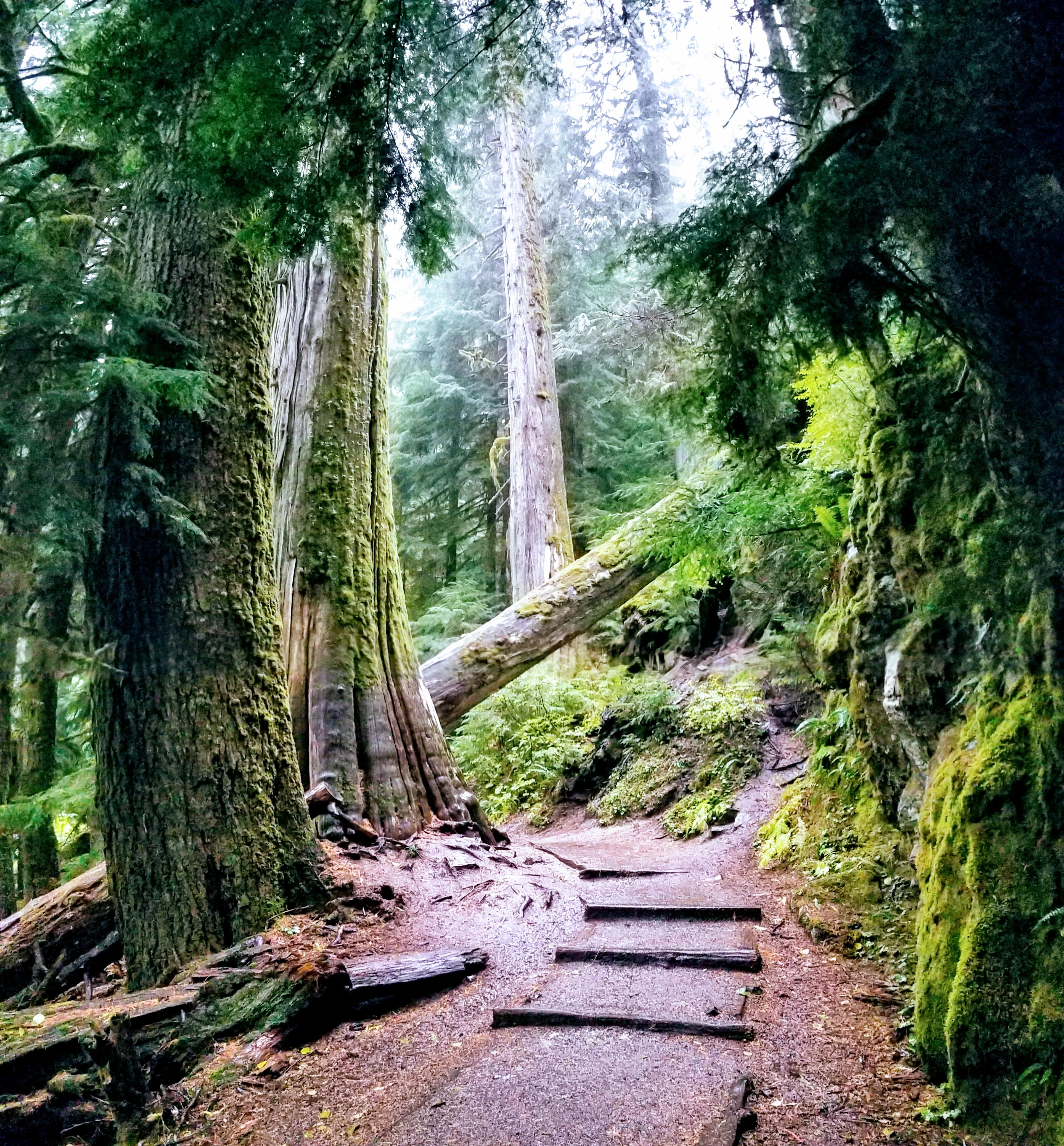 Grove School Of Engineering