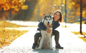 Guide To Things To Know Before Having Animal Care Jobs