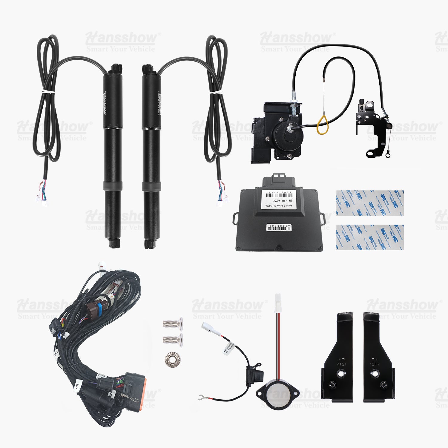 Hanshow Tesla Technology