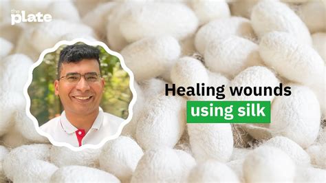 Healing Wounds With Silk Vivek Mishra S Fibroheal Uses Cocoons To