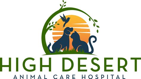 5 Tips Desert Animal Care