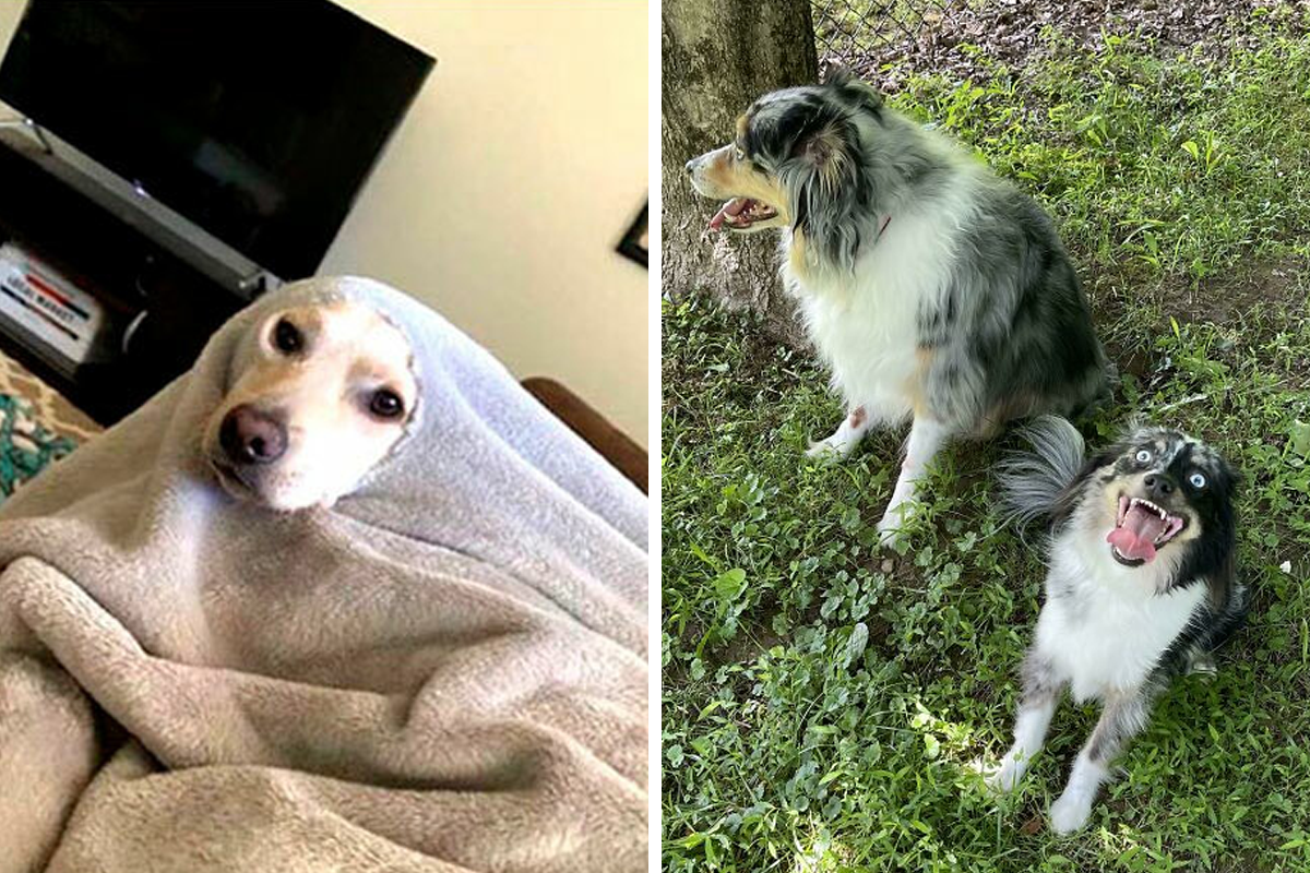 Hilarious Daylight Savings Time Memes For When The Dst Struggle Is Just Too Real The Wild Wild West Parenting Teaching Blog Hilarious Daylight Savings Time Memes For When The Dst Struggle Is Just Too Real The Wild Wild West Parenting Teaching Blog