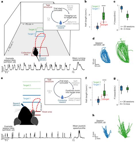 Hippocampal Representations Of Foraging Trajectories Depend Upon Spatial Context Nature Neuroscience Hippocampal Representations Of Foraging Trajectories Depend Upon Spatial Context Nature Neuroscience