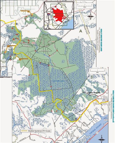 Holly Shelter Game Land Hunting Guide