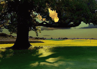 How Do You Say Are You Sleeping In Spanish Lasopaima