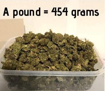 How Many Ounces In A Pound Of Weed
