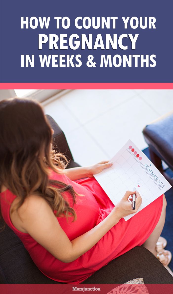 How To Calculate Pregnancy Week By Week Months Accurately How To Calculate Pregnancy Week By Week Months Accurately