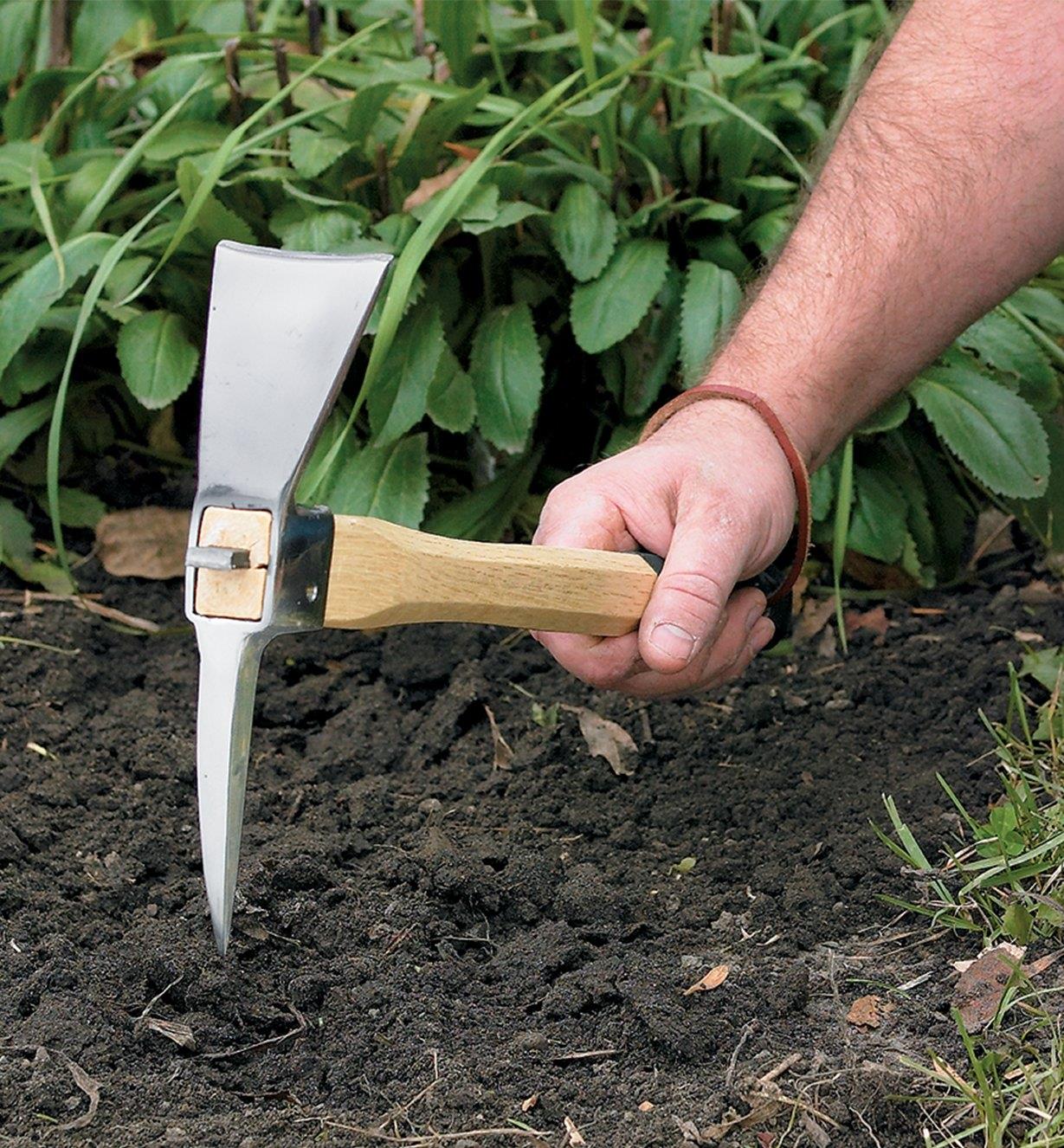 How To Pick A Release Date 2022 Guide