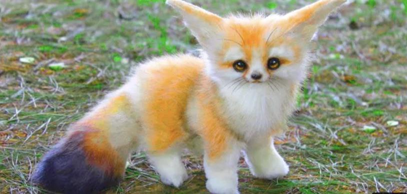 I Exist Show 2003 S3 Official Trailer I Exist Show 2003 S3 Official Trailer