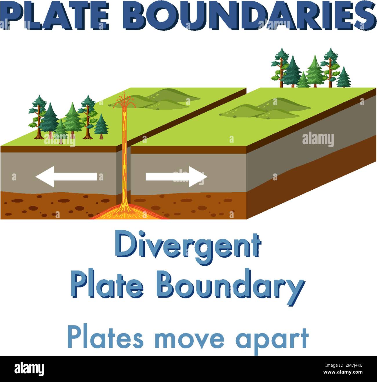 Interhemispheric Fissure An Overview Sciencedirect Topics