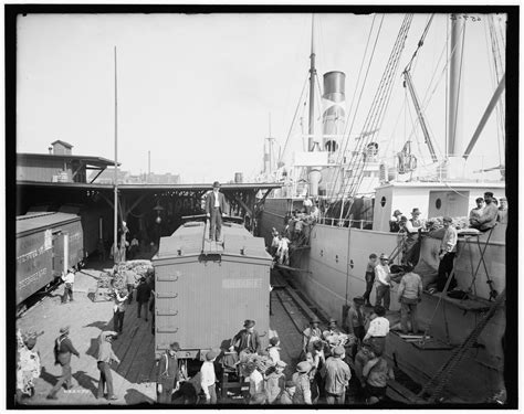 Italian Heaven The Sicilian French Quarter Before Wwii Southern Foodways Alliance Southern Foodways Alliance