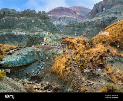 Discover the Wonders of John Day Fossil Beds Today