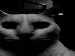 Juego Aun Esta En Desarrollo El Libro 1 Con Katara Esta Completo Pero Juego Aun Esta En Desarrollo El Libro 1 Con Katara Esta Completo Pero