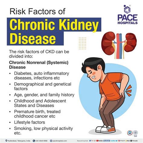 Kidney Stone Disease Risk Factors Pathophysiology And Management Nature Reviews Nephrology