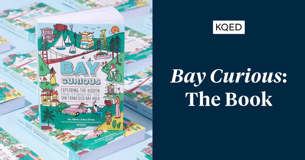KQED Bay Curious Book Release Date: A Beginner's Guide