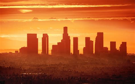 The Ultimate Guide to Surviving and Thriving During a Los Angeles Heat Wave