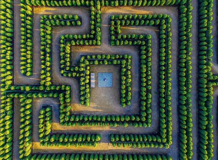 When Is the Maze Runner 4 Release Date? Fans' FAQ Answered