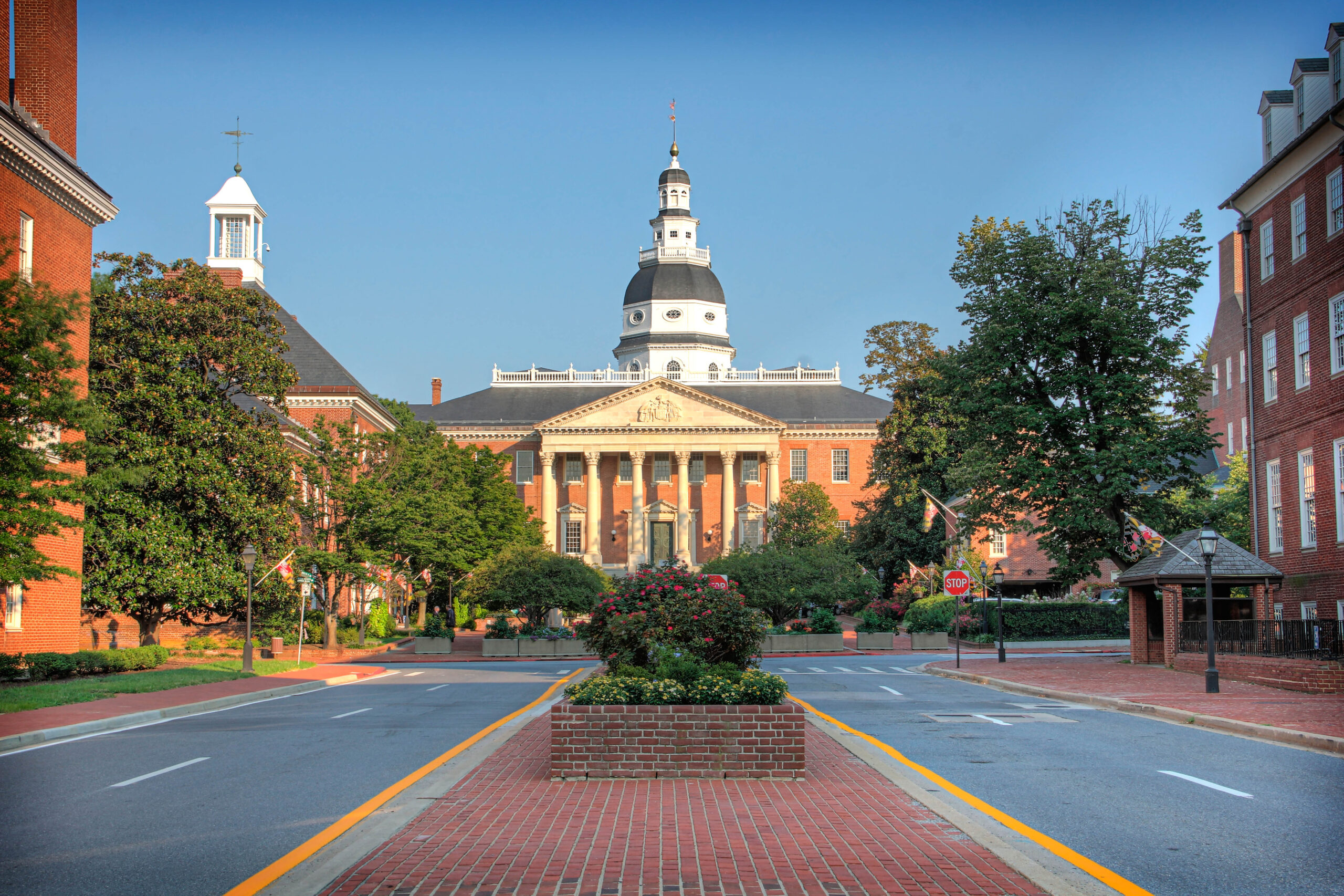 Md Vs Do The Biggest Differences And Which Is Better Shemmassian Academic Consulting