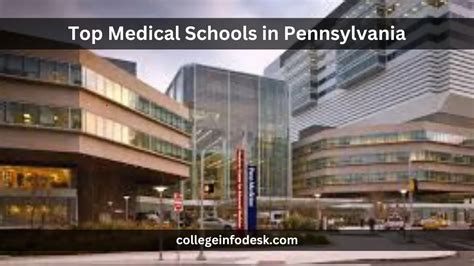 Medical Schools in Pennsylvania vs. Alternatives: Which Is the Best Path?