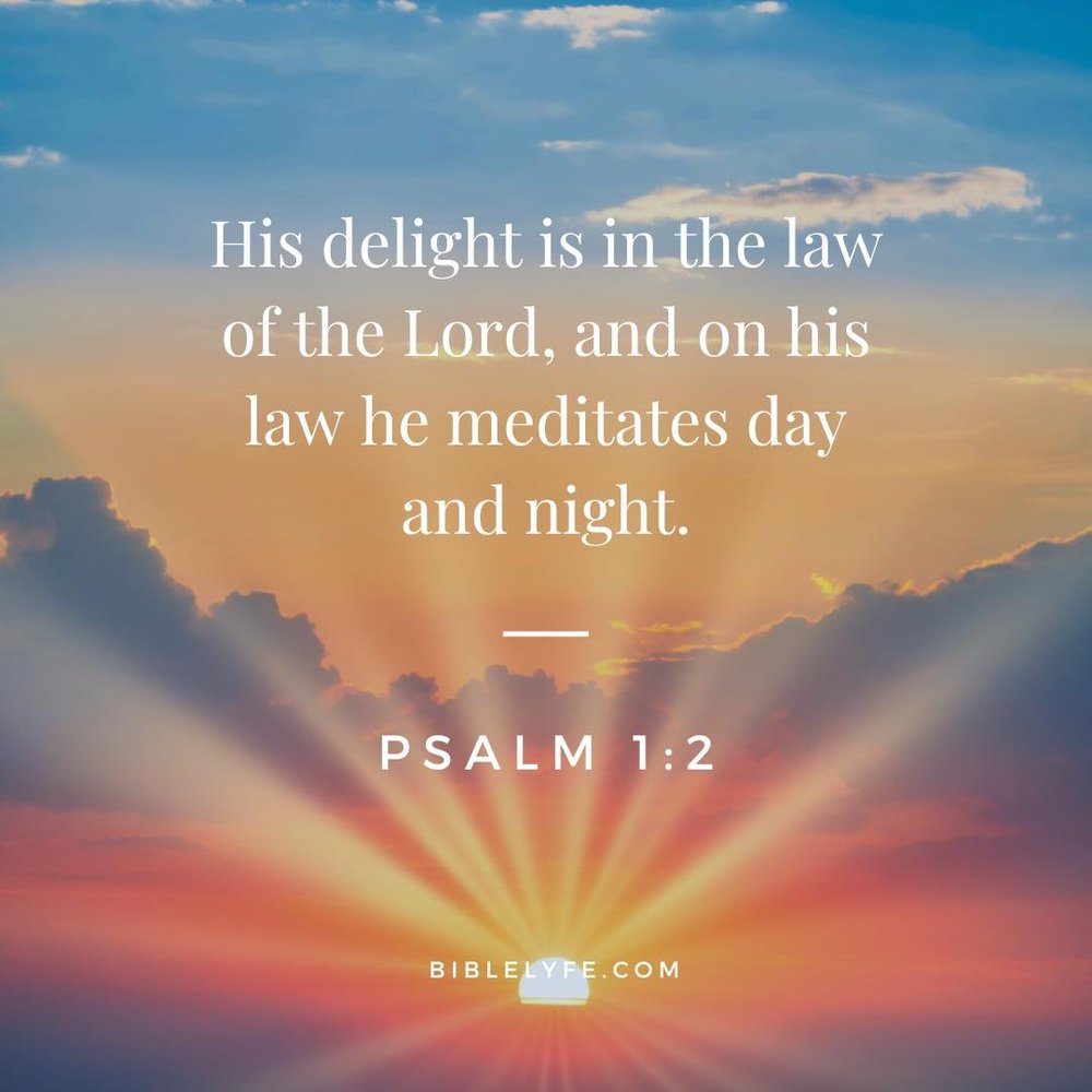 Meditation Techniques To Boost Your Sex Drive Support Your Sexual Wellness