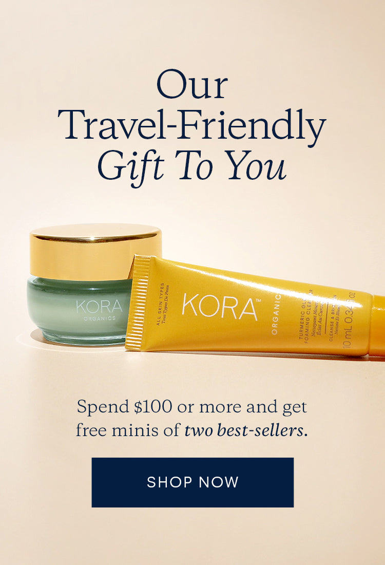 5 Mobile Tesla Chargers