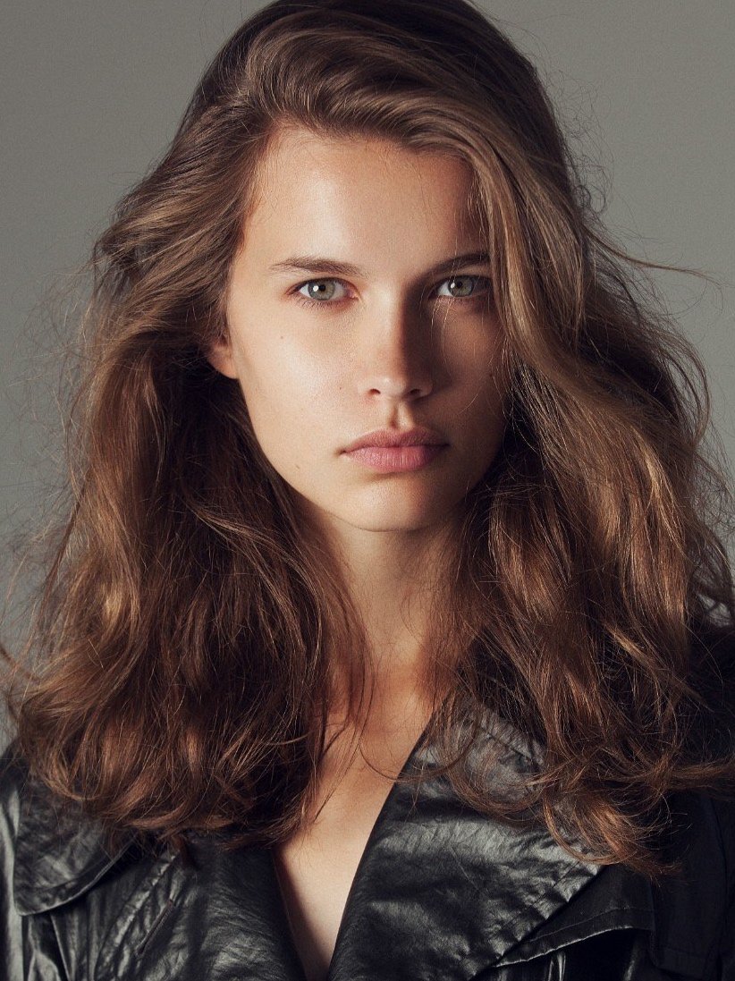 Tesla Model X Falcon Doors