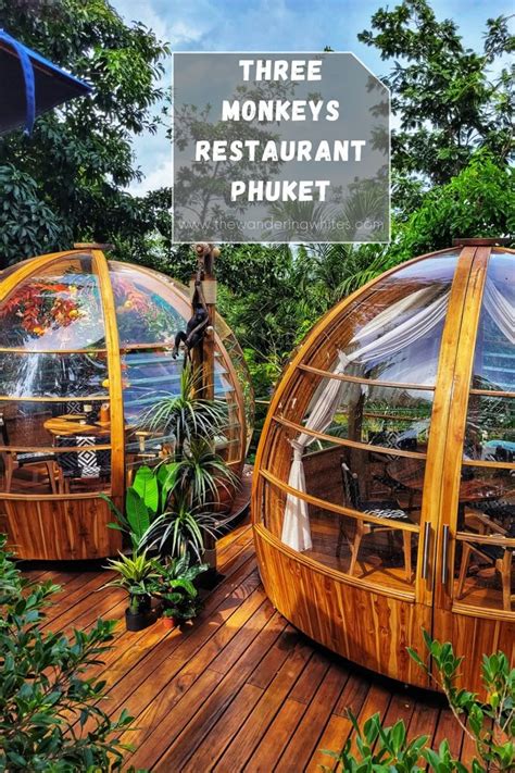 How to Visit and Enjoy the Unique Atmosphere of Monkey Nest Cafe