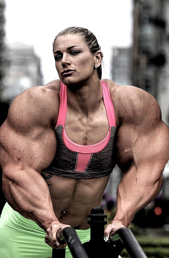 Muscle Compartments Of The Thigh Complete Anatomy