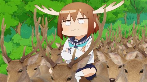 Fast Update on My Deer Friend Nokotan Episode 3 Release Date