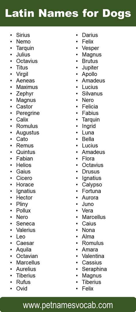 Naming Ideas List Of Latin Names For Dogs Pet Names Vocab Naming Ideas List Of Latin Names For Dogs Pet Names Vocab