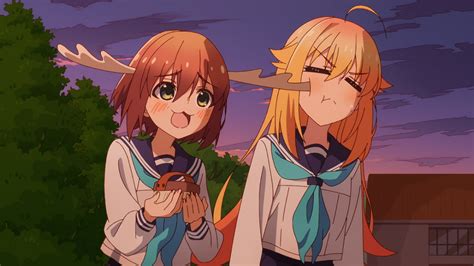 The Truth About the Nokotan Release Date: Debunking the Myth