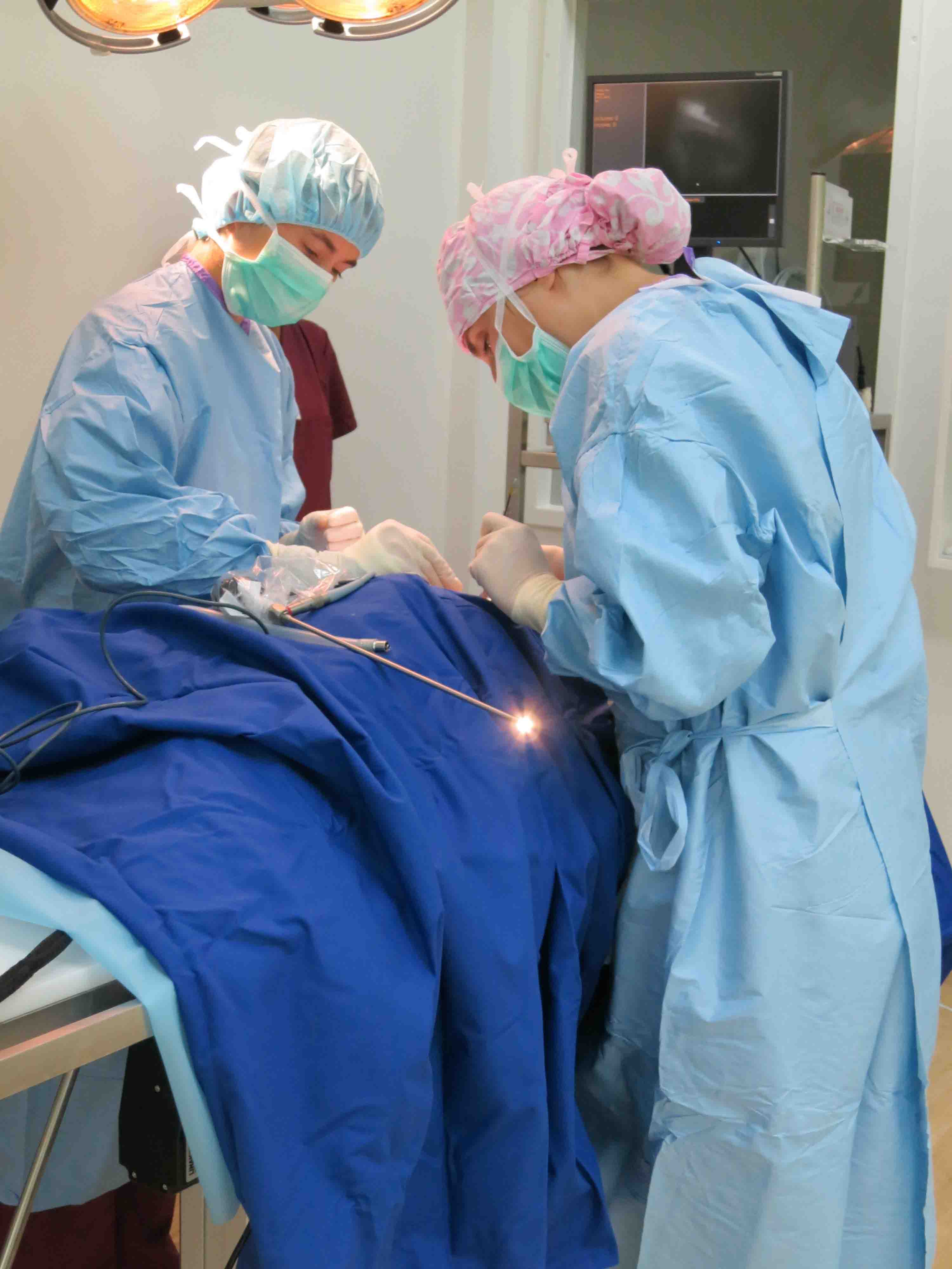 Op Ed Public Grocery Stores Already Work But We Need More Civil Eats Op Ed Public Grocery Stores Already Work But We Need More Civil Eats