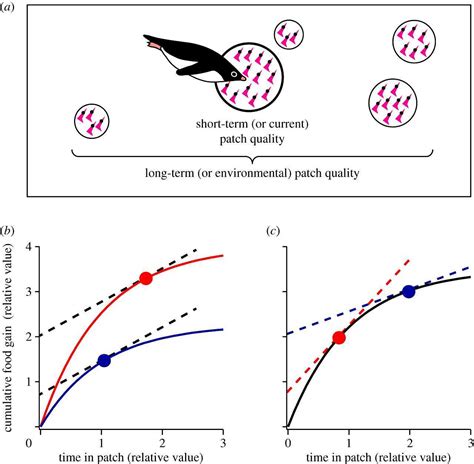 Unlocking Efficiency: Over 75% of Animal Foraging Aligns with Optimal Foraging Theory