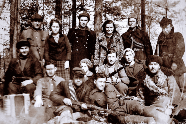 Understanding the Role and Impact of Partisan Election Systems