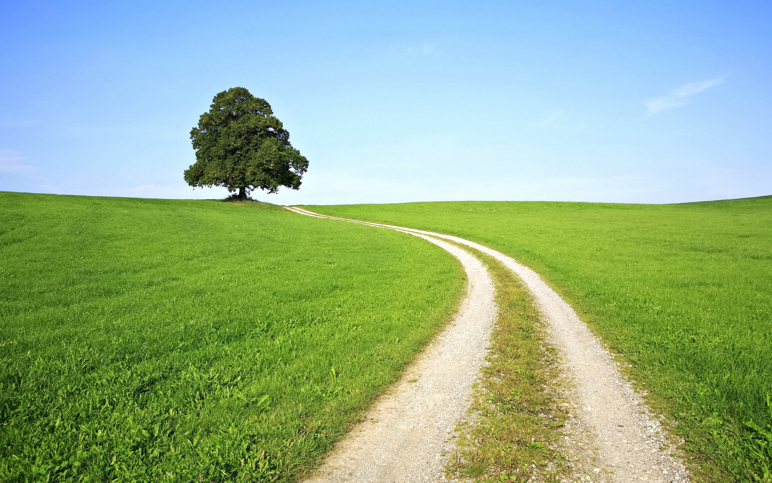 Path Of Exile 2 Delayed To December Niche Gamer Path Of Exile 2 Delayed To December Niche Gamer