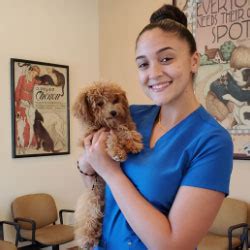 Doral Pet Care Clinic Services