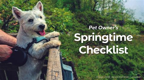 Pet Owner S Springtime Checklist Jersey Calhoun Veterinary Hospital Pet Owner S Springtime Checklist Jersey Calhoun Veterinary Hospital