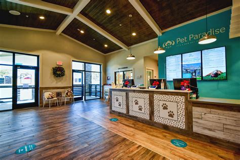 Pet Paradise Virtual Tour Boarding Day Camp Veterinary Care