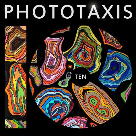 What is phototaxis and how does it influence organism behavior?