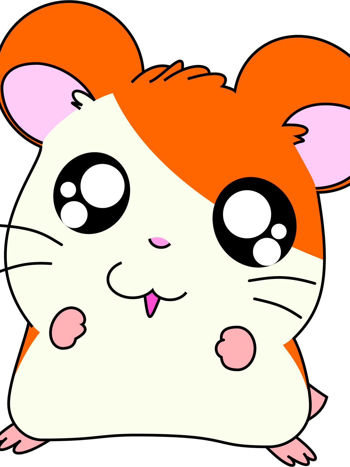 Pok Mon Serie 1997 Sensacine Com Pok Mon Serie 1997 Sensacine Com