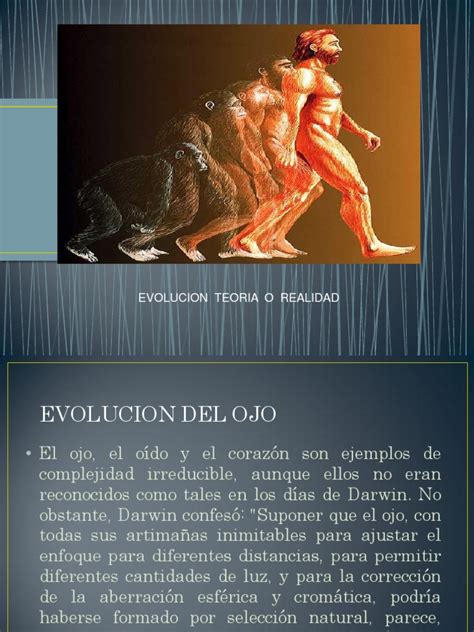Presentacion De Evolucion Del Ojo Pdf Ojo Visi N Presentacion De Evolucion Del Ojo Pdf Ojo Visi N