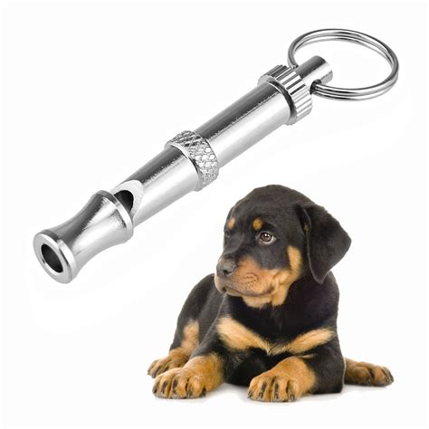Maximizing Profit with the r277 Dog Whistle: A Smart Investment Guide