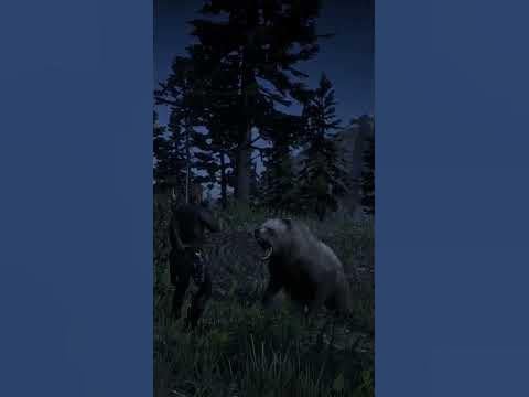 RedDead Online Gameplay Guide