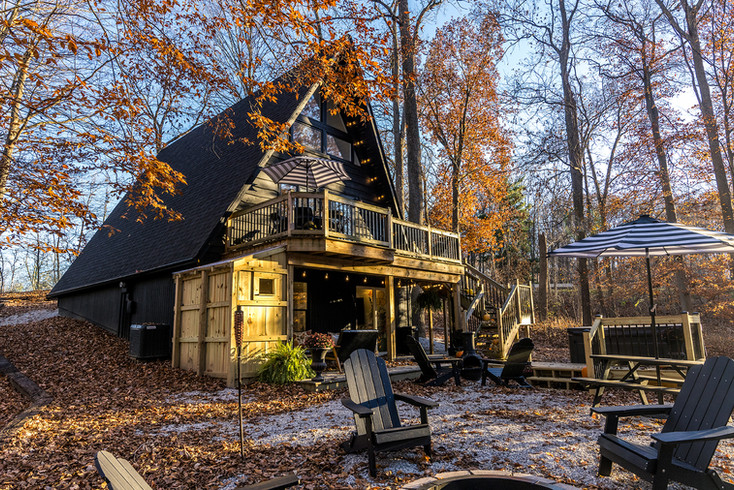 Renting Cars with Dogs