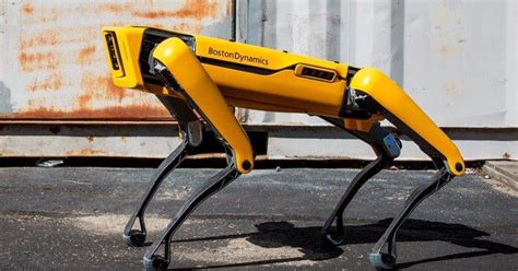 Robothond En Internetfenomeen Van Boston Dynamics Nu Te Koop Voor 75 000 Dollar Wetenschap Robothond En Internetfenomeen Van Boston Dynamics Nu Te Koop Voor 75 000 Dollar Wetenschap
