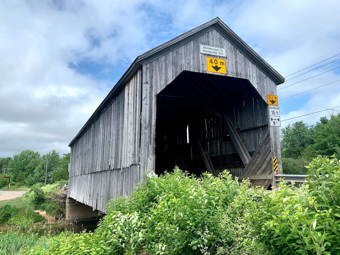 Springtime Valley Butternut Farms Nudity Personified Snuffle Mat Springtime Valley Butternut Farms Nudity Personified Snuffle Mat