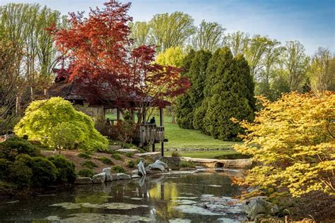 5 Tesla Tips Silver Spring