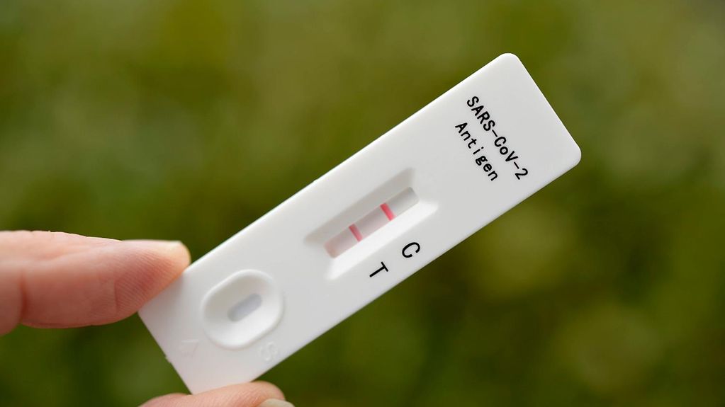 Test Driving The All New 2024 Hyundai Santa Fe Test Driving The All New 2024 Hyundai Santa Fe