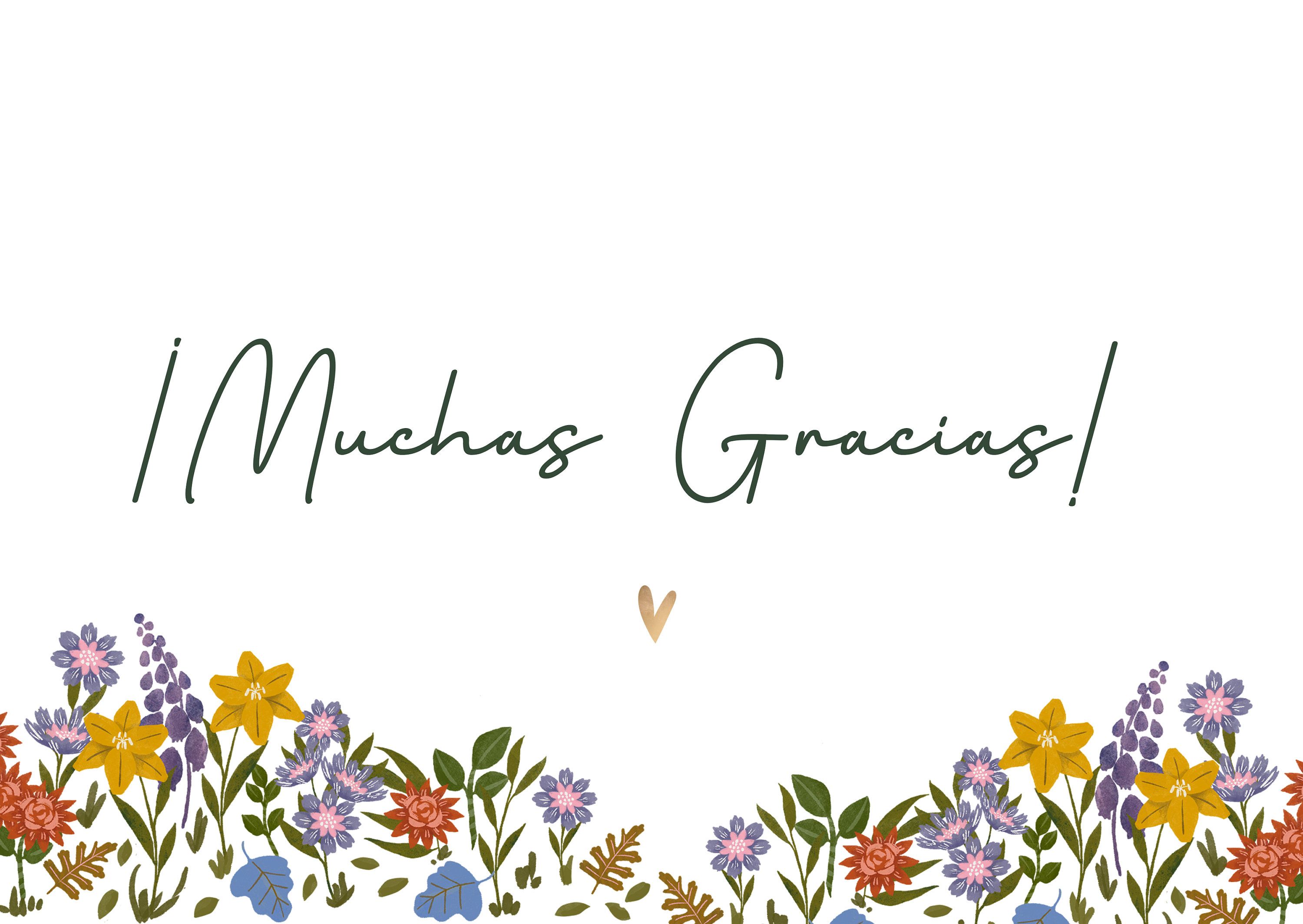 Thank You In Spanish